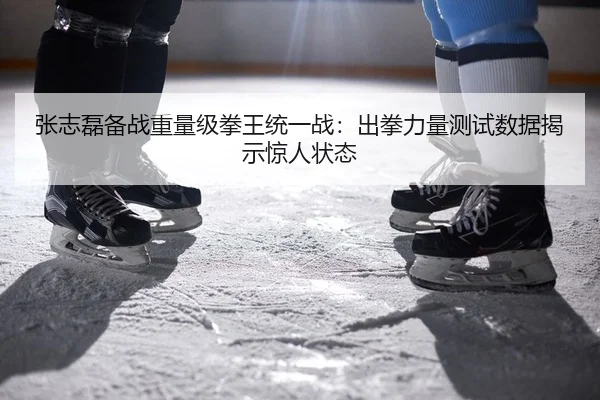 张志磊备战重量级拳王统一战：出拳力量测试数据揭示惊人状态
